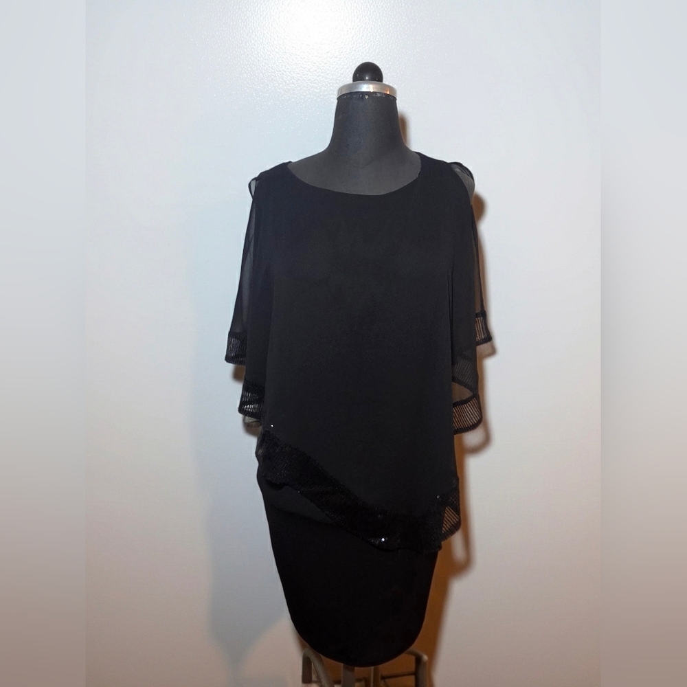 Enfocus Studio Black Dress with Sheer Details